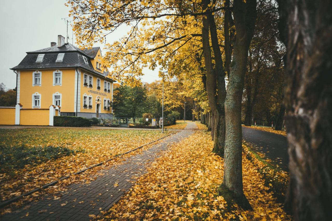 Apartmány Natálie Františkovy Lázně Esterno foto