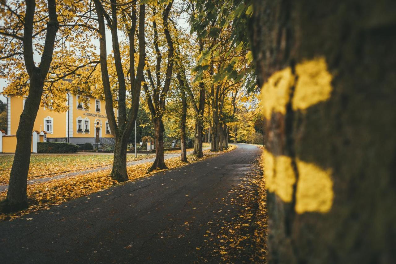 Apartmány Natálie Františkovy Lázně Esterno foto