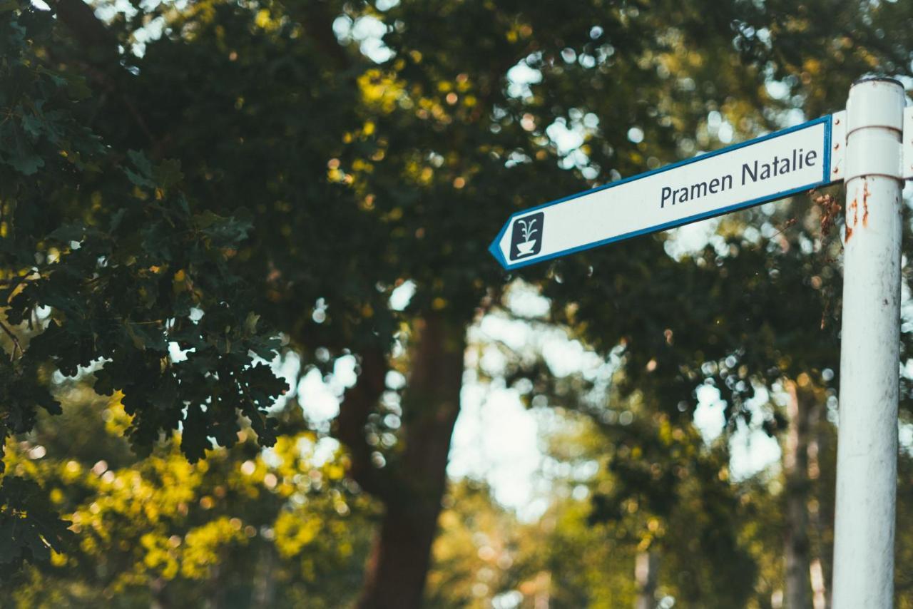 Apartmány Natálie Františkovy Lázně Esterno foto