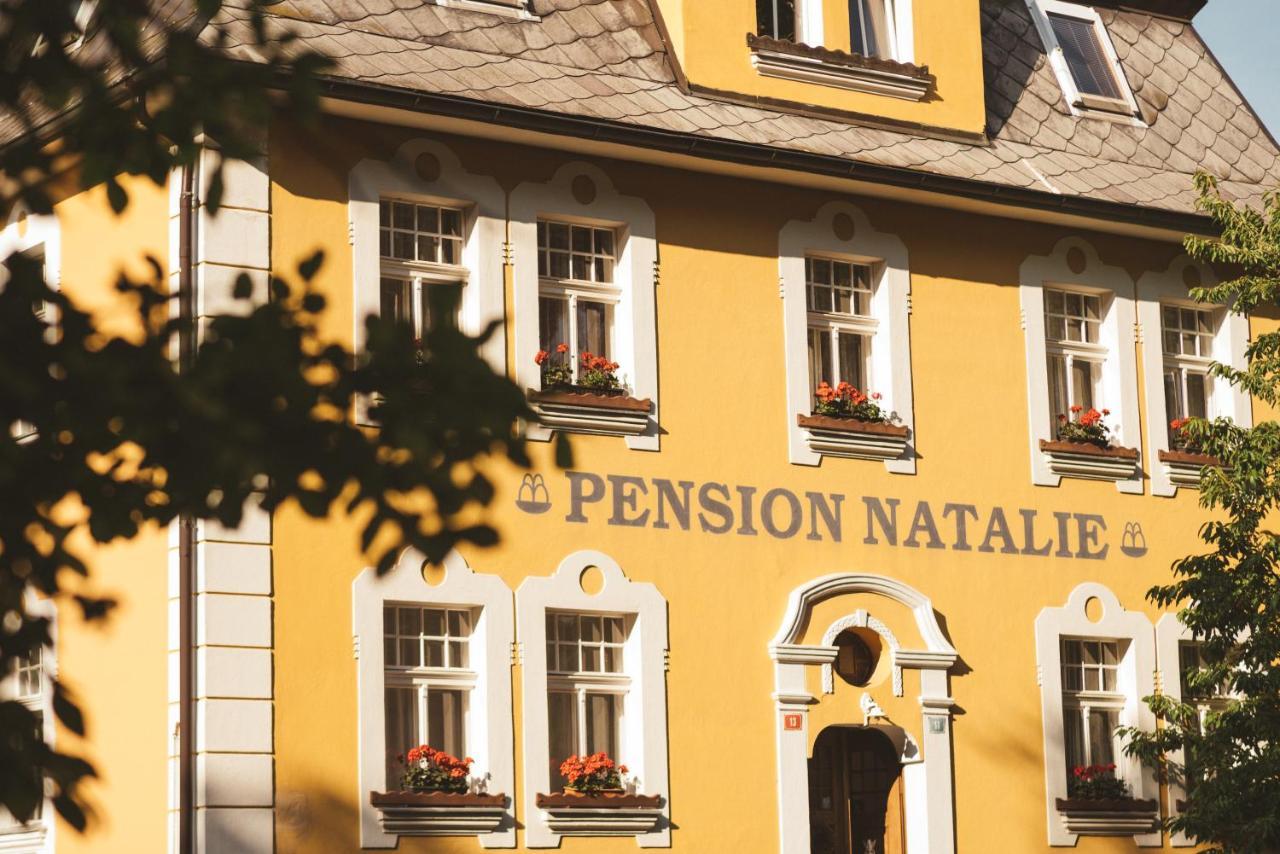 Apartmány Natálie Františkovy Lázně Esterno foto
